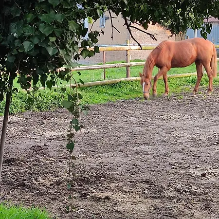 Rosie Apartman Saint-Blimont